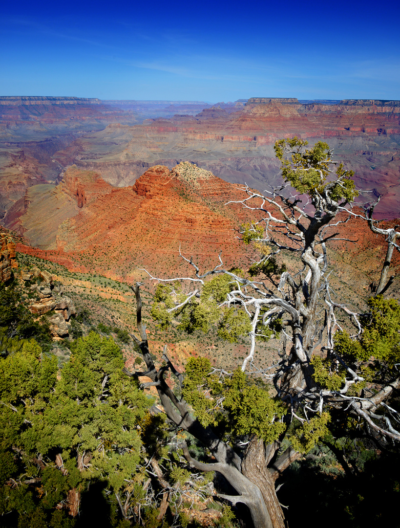 Grand Canyon