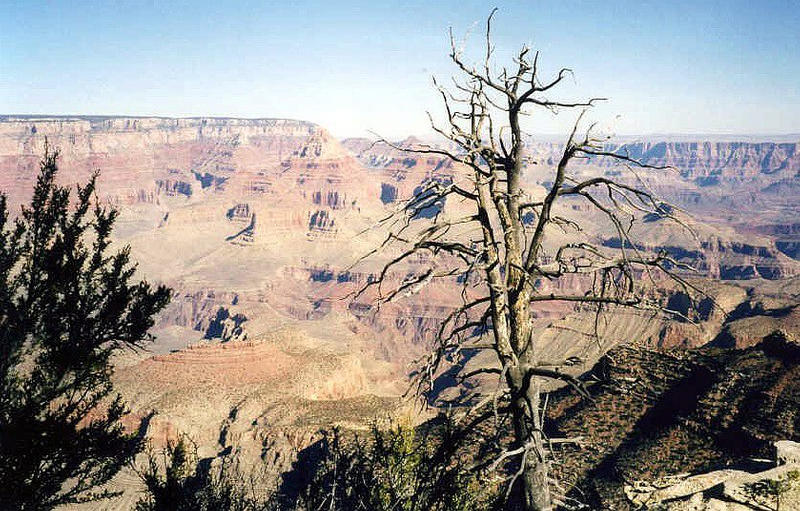 Grand Canyon