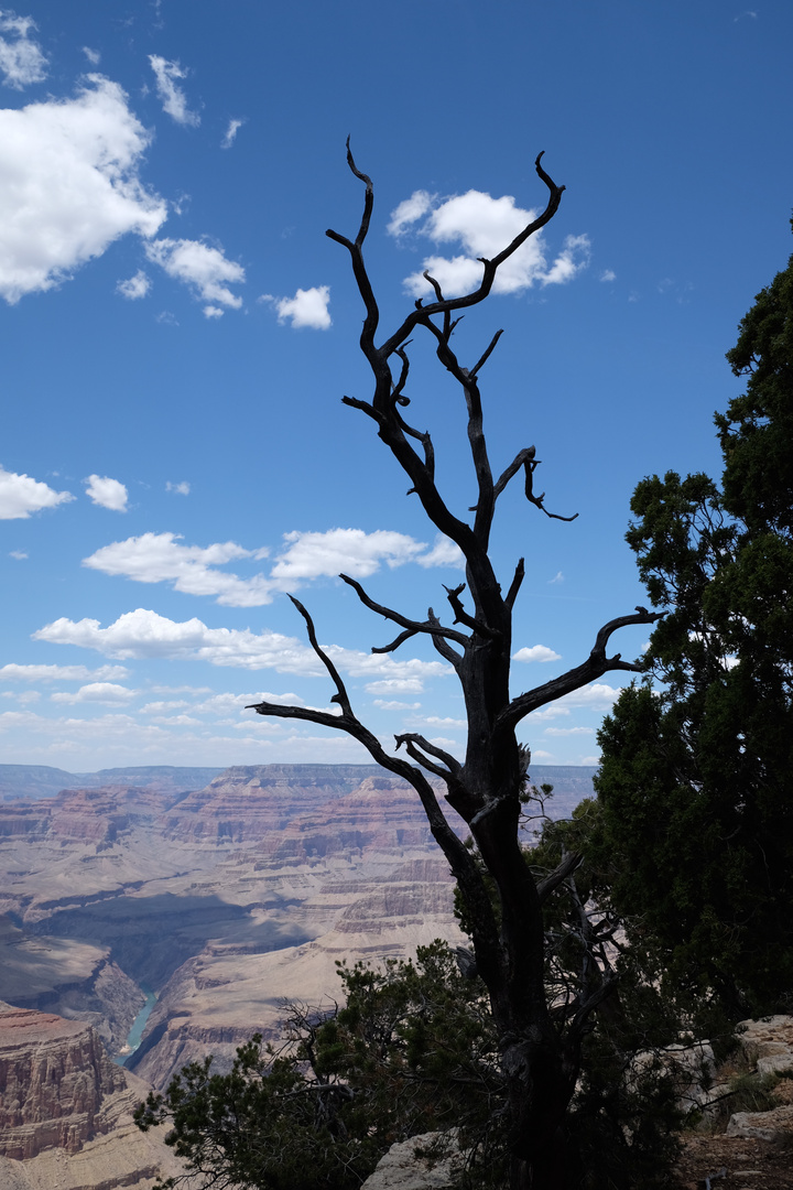 Grand Canyon