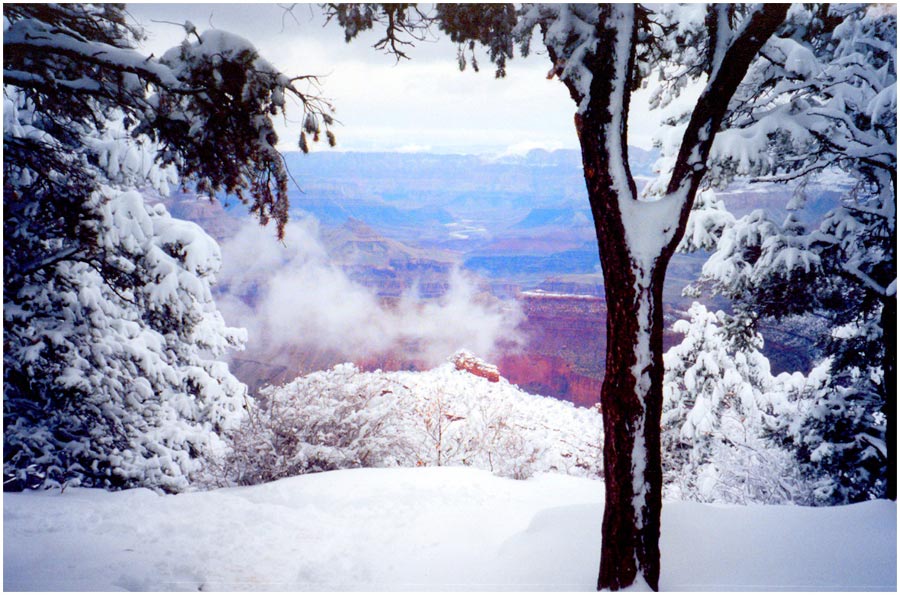 Grand Canyon .....