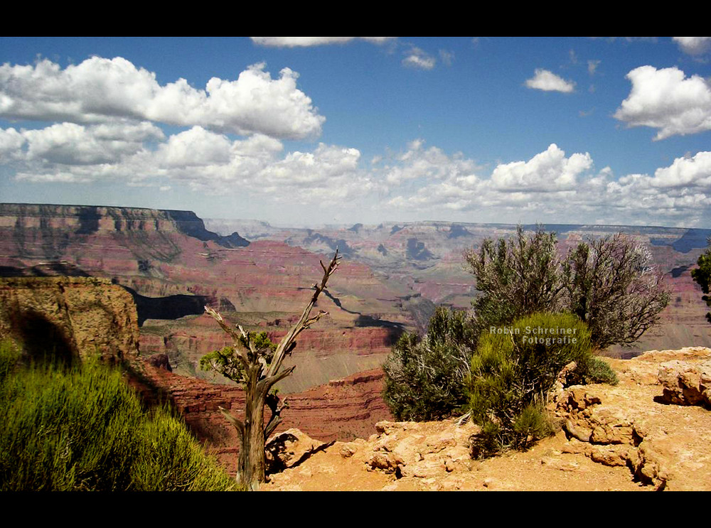 Grand Canyon