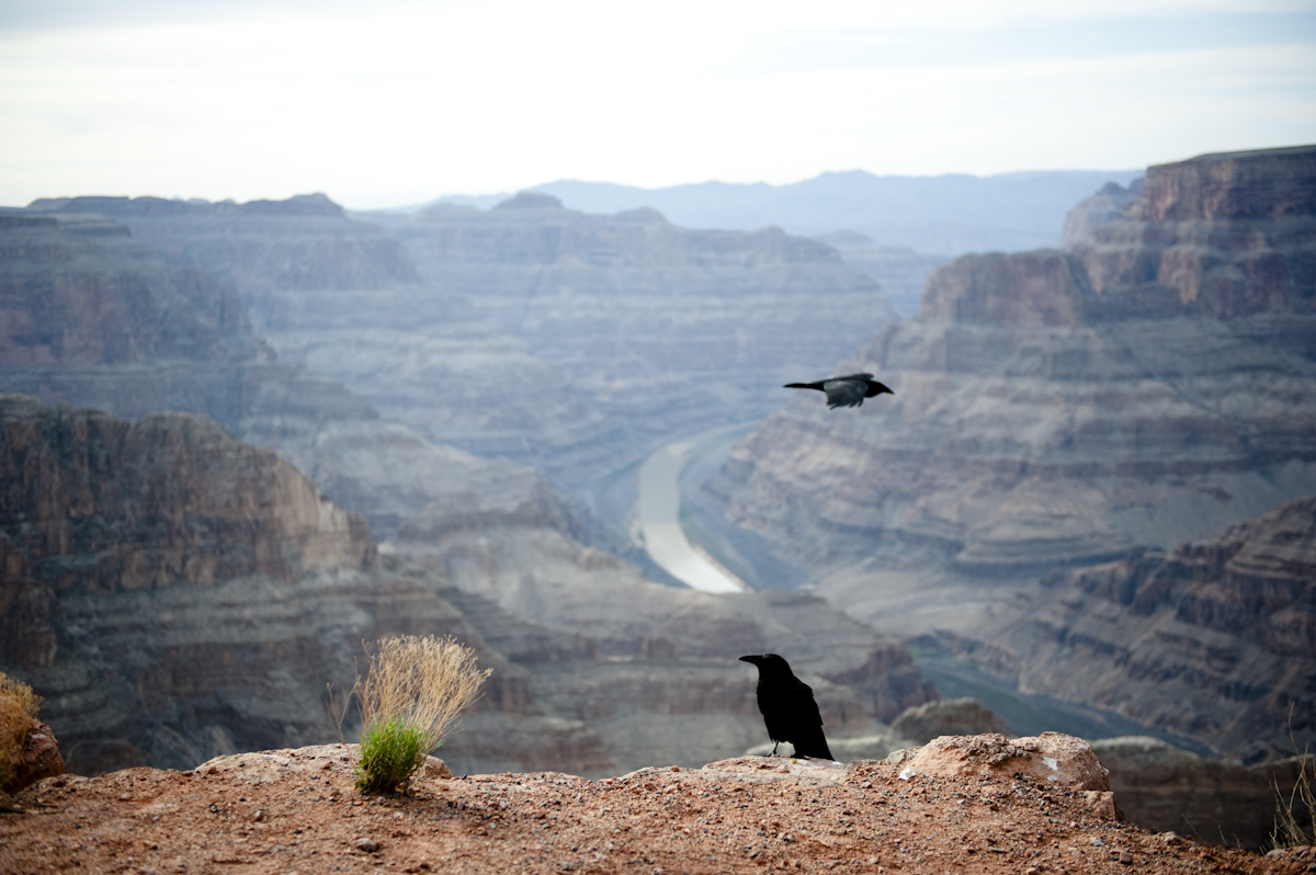 Grand Canyon