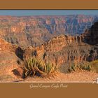 Grand Canyon Eagle Point