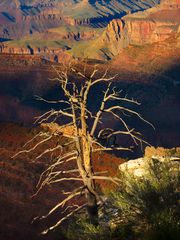 Grand Canyon - ein Urlaubsklassiker