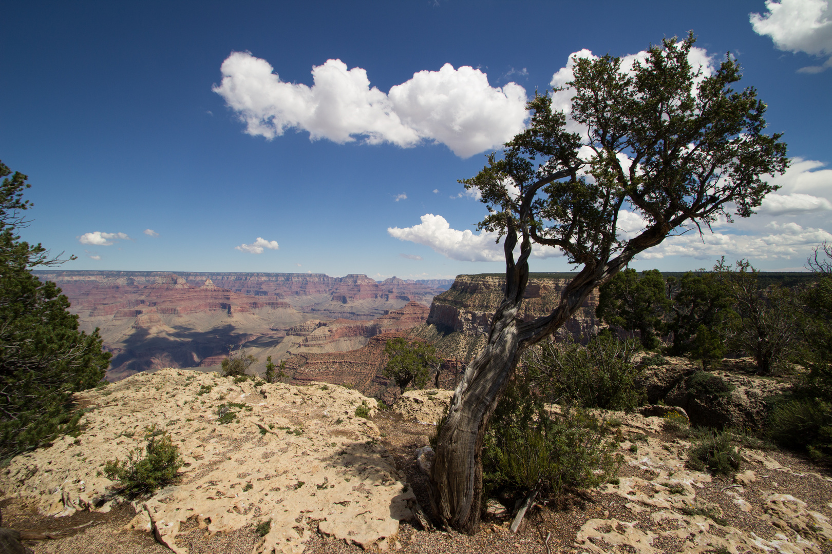 grand canyon