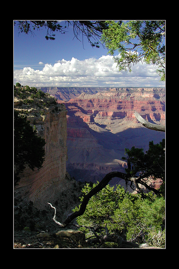 Grand Canyon