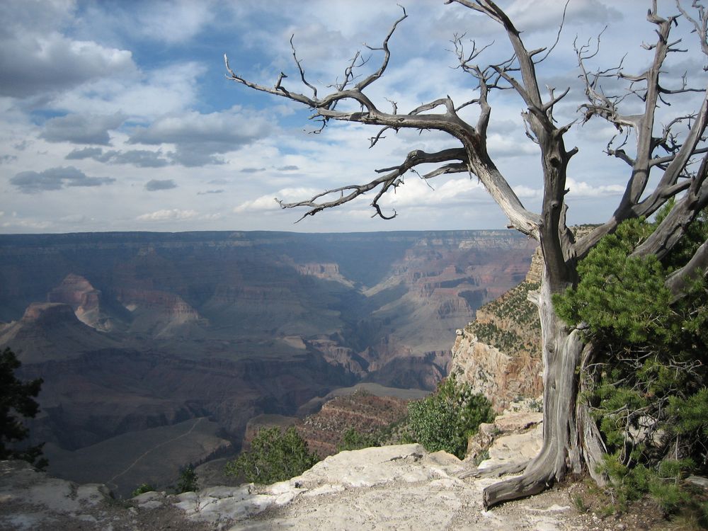 Grand Canyon