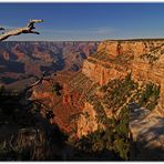 Grand Canyon I