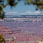 Grand Canyon I