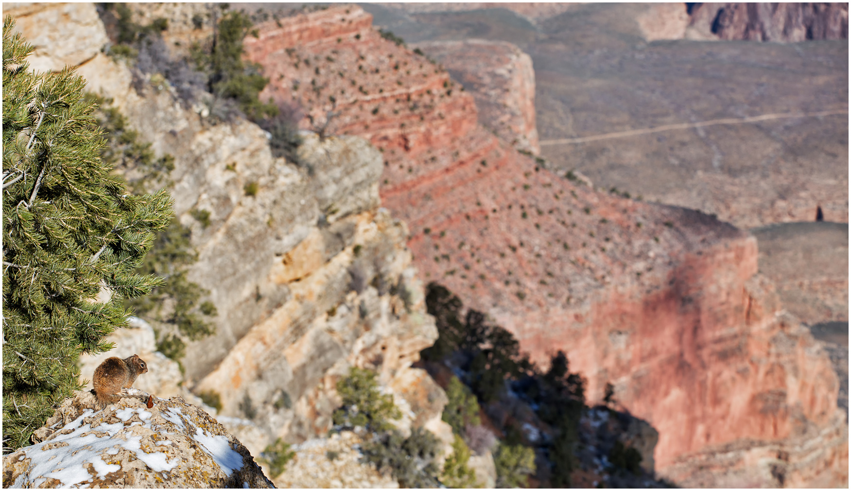 Grand Canyon I