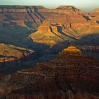 ...Grand Canyon [ II ]