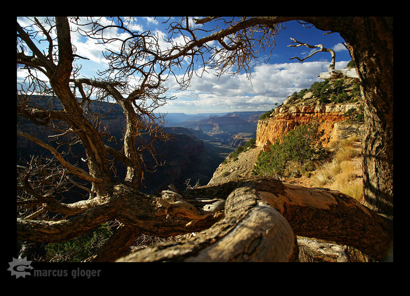 Grand Canyon II