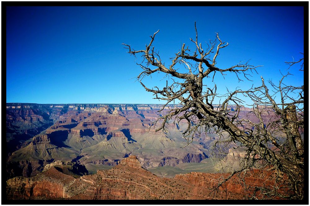 Grand Canyon III