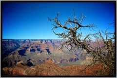 Grand Canyon III