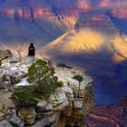 Grand Canyon III.