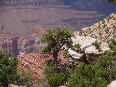 Grand Canyon III