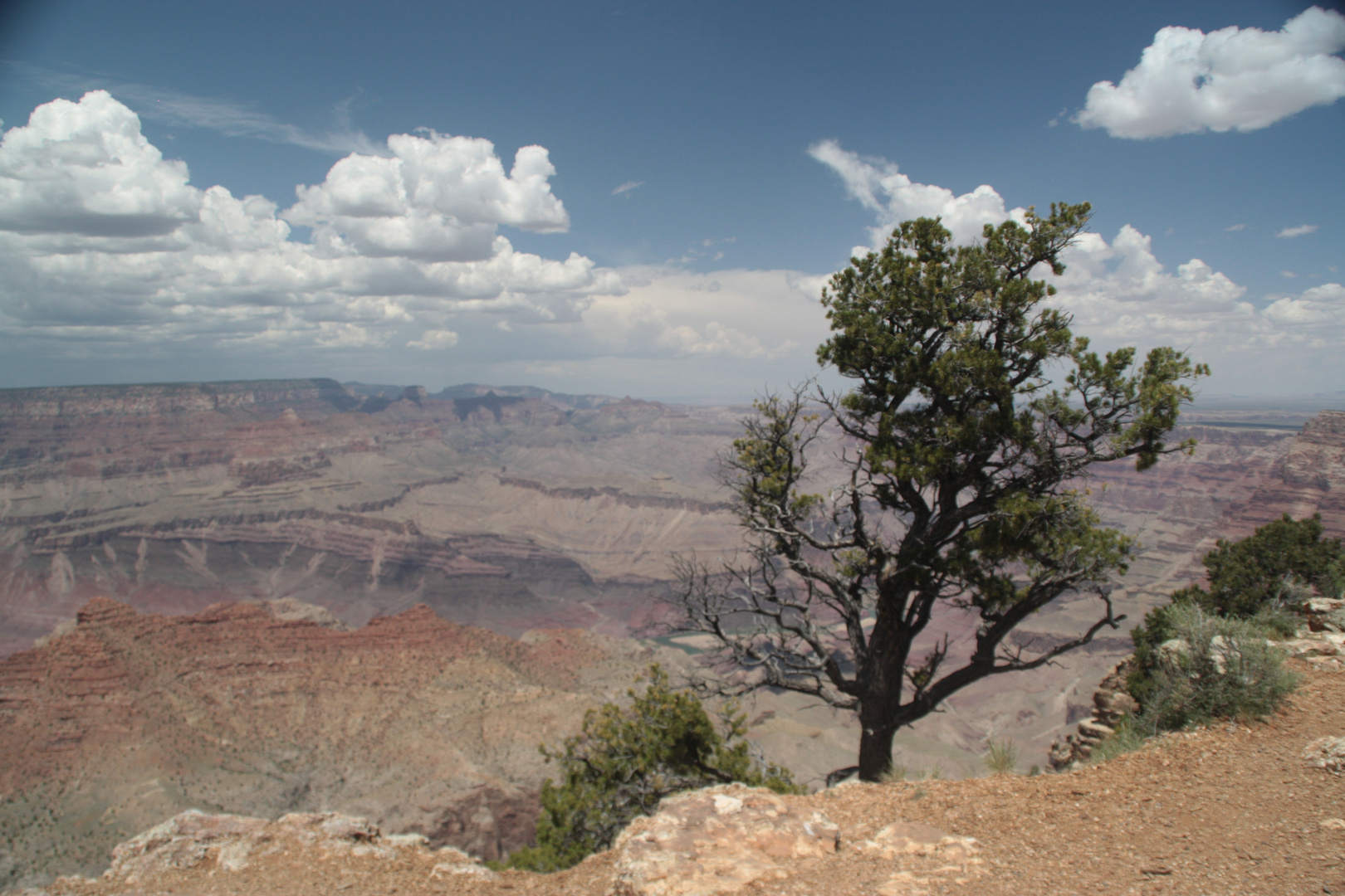 Grand Canyon III