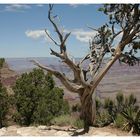 Grand Canyon Impressionen