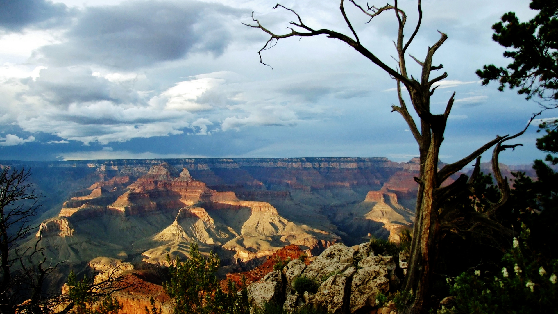 Grand Canyon in Abendlicht