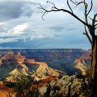 Grand Canyon in Abendlicht