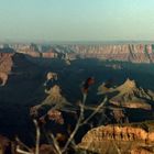 Grand Canyon in Abendstimmung