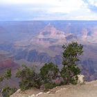 Grand Canyon IV