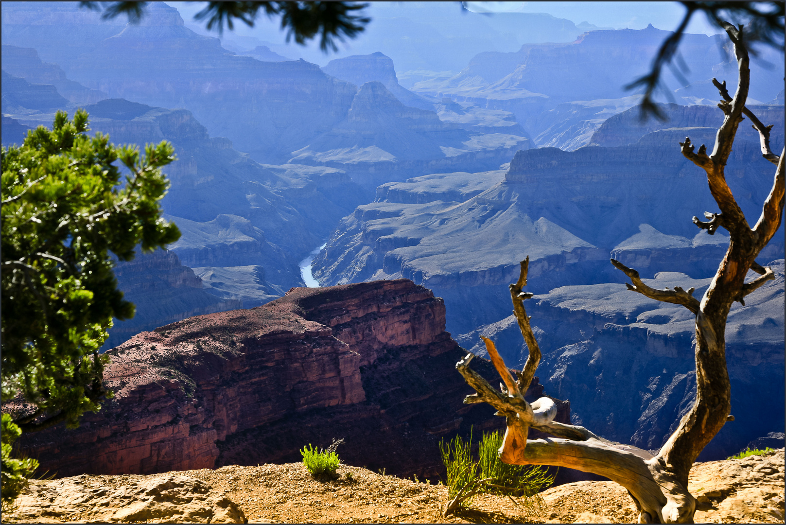 Grand Canyon, Late Afternoon