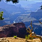 Grand Canyon, Late Afternoon