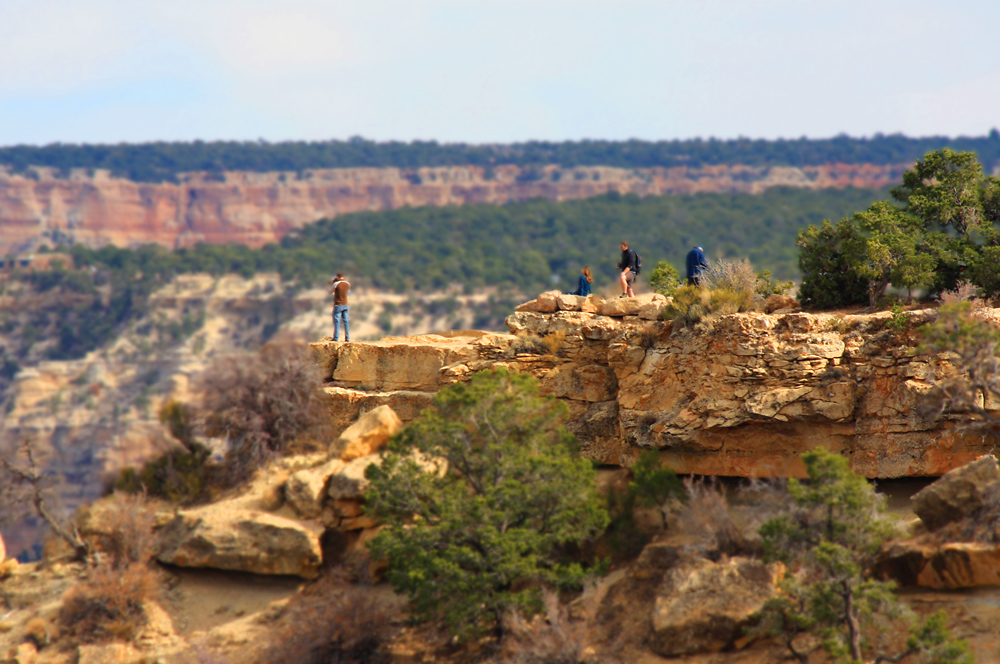 Grand Canyon Miniature