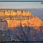 Grand Canyon morning view