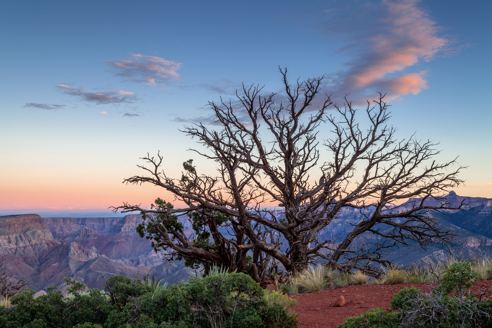 Grand Canyon - Nankoweap Trail