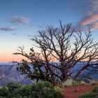 Grand Canyon - Nankoweap Trail