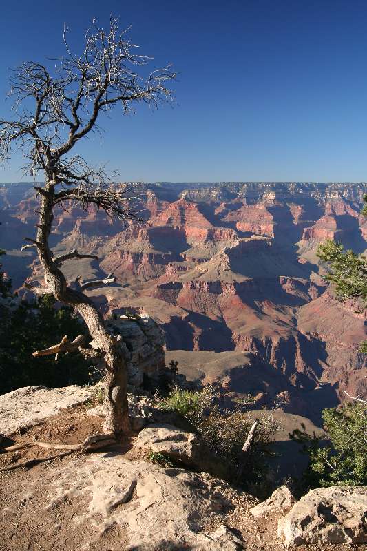 Grand Canyon Nationalpark