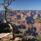 Grand Canyon Nationalpark