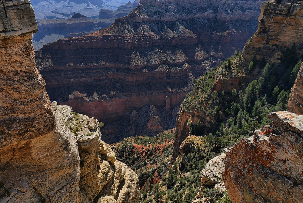 Grand Canyon Nationalpark - tief hinab geblickt in die Schlucht