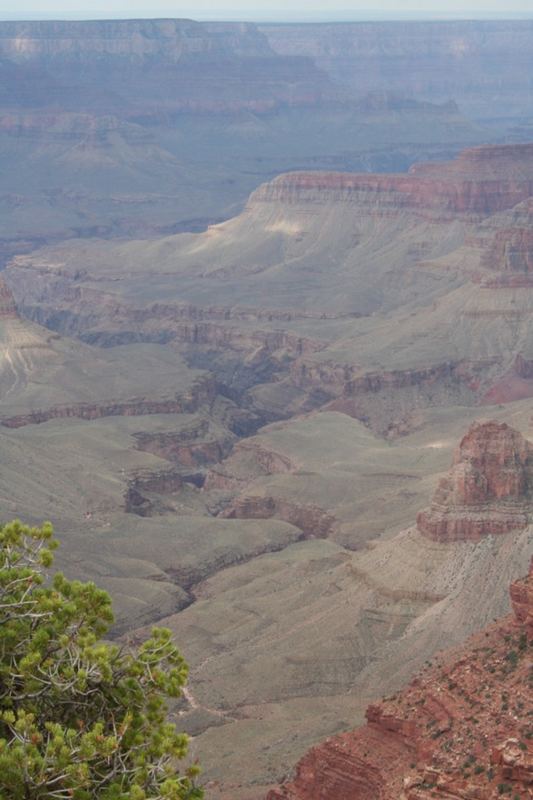 Grand Canyon North Rim 2