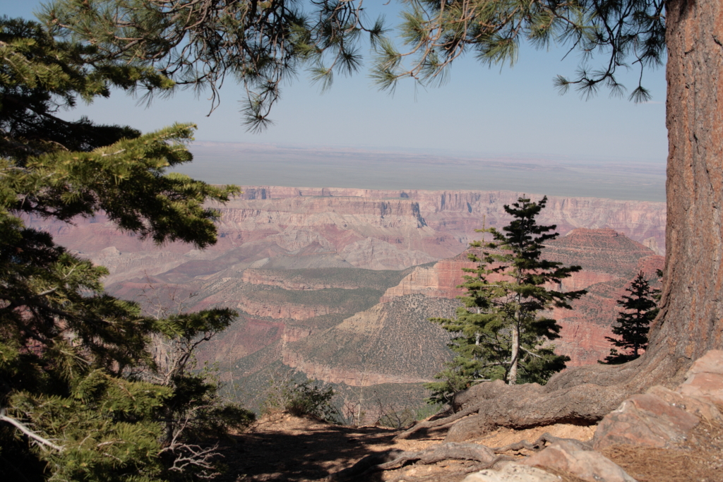 Grand Canyon North Rim