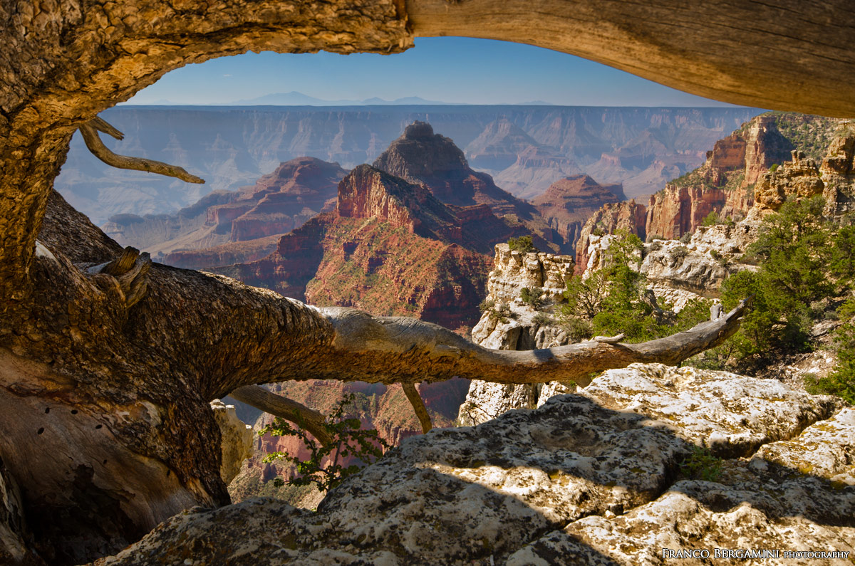 Grand Canyon North Rim