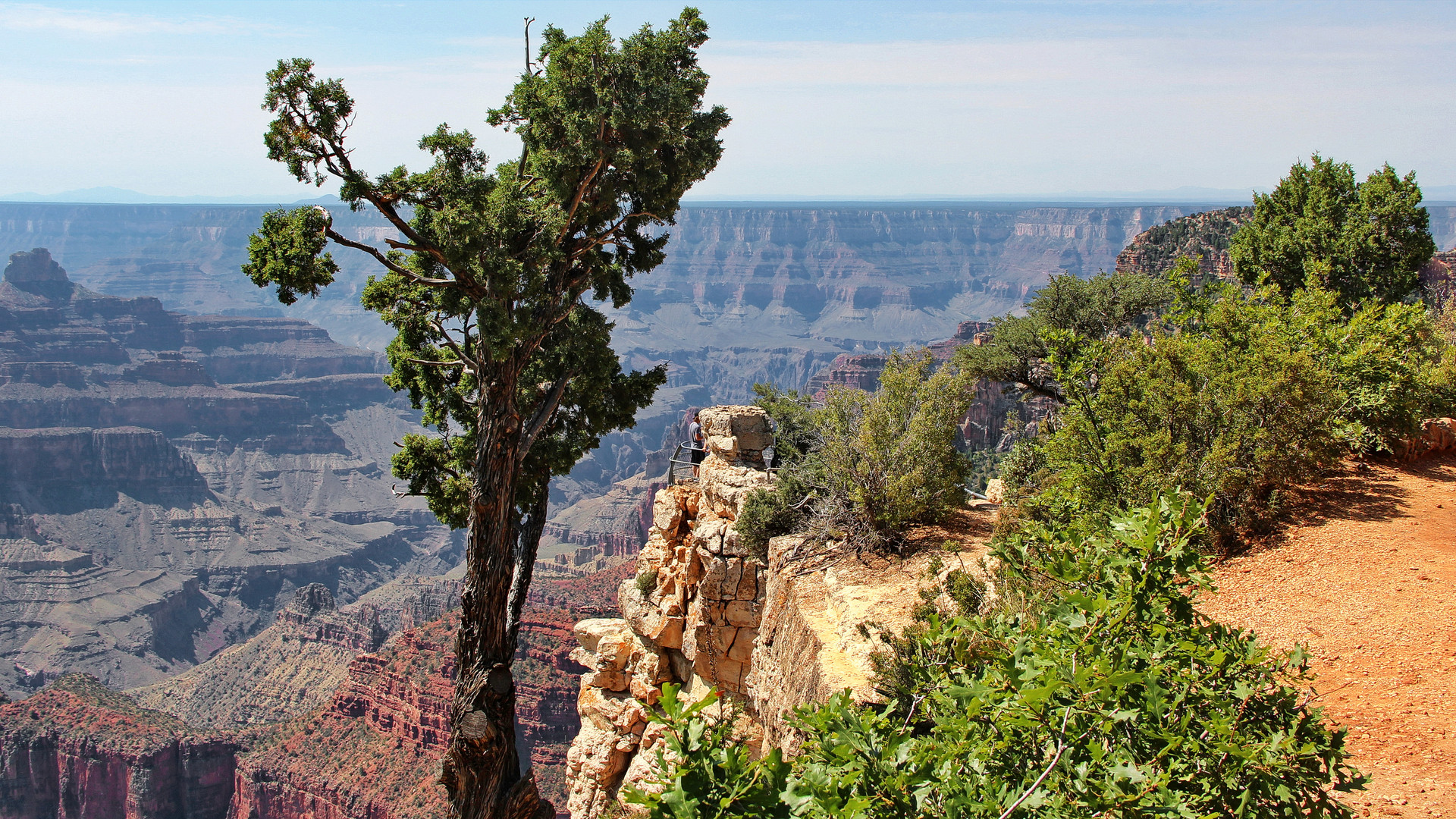 Grand Canyon (North Rim)