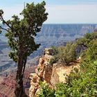 Grand Canyon (North Rim)