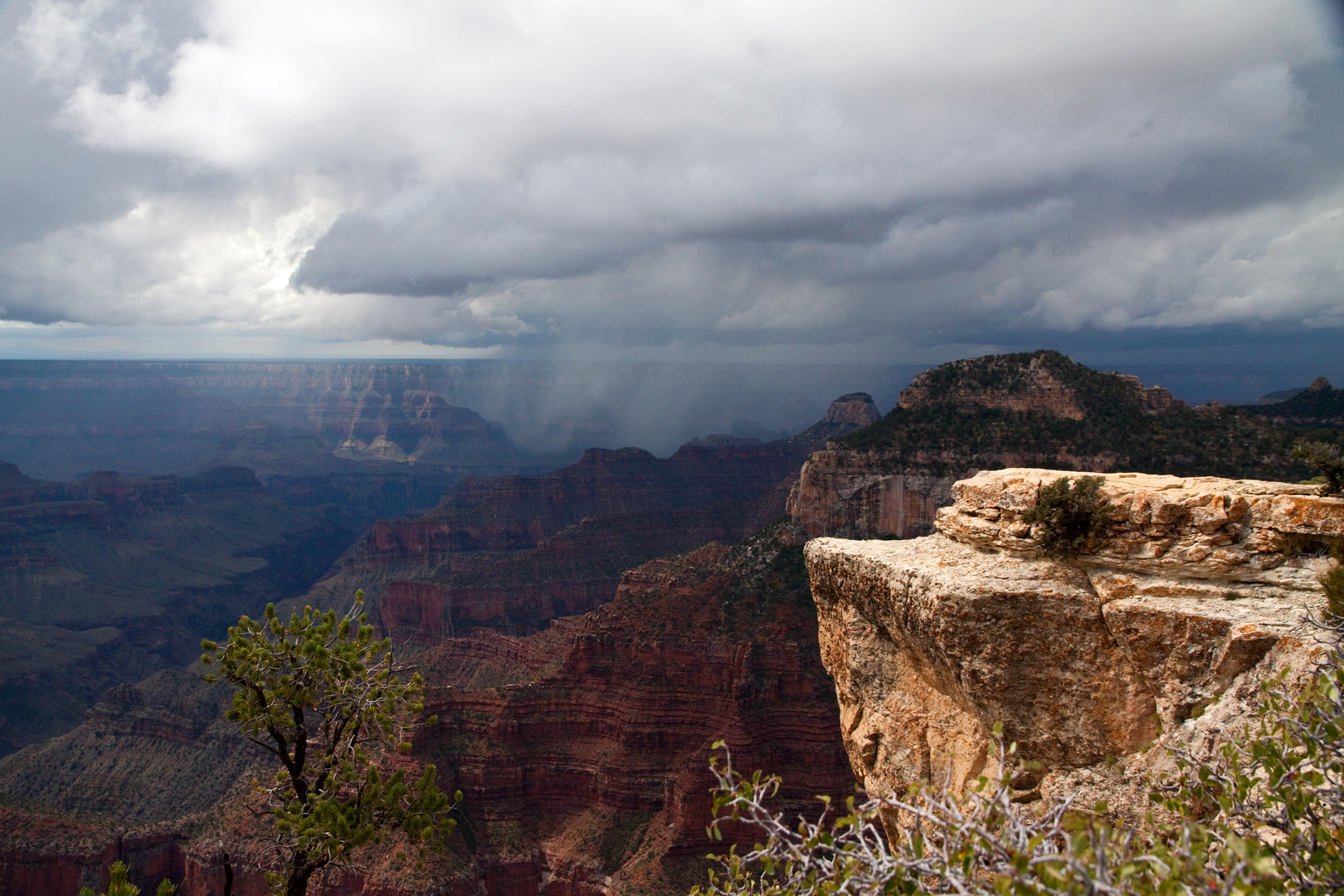 Grand Canyon North Rim I