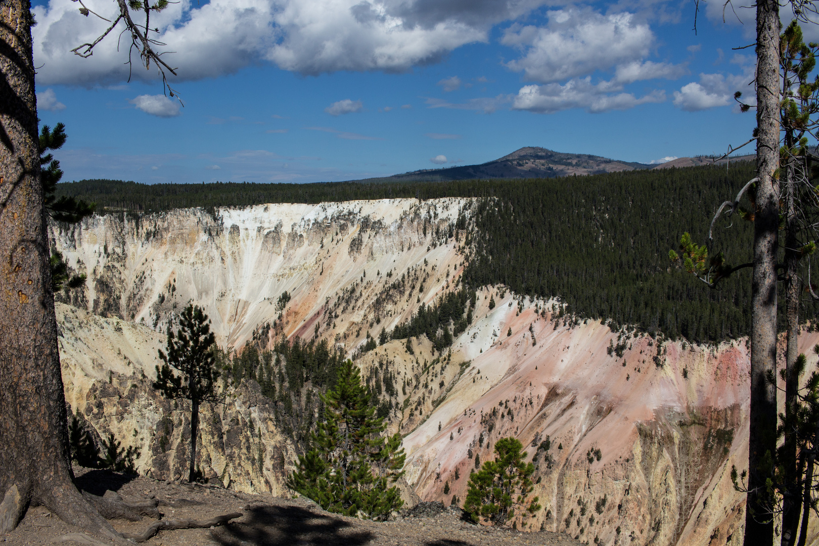 Grand Canyon of the Yellowstone