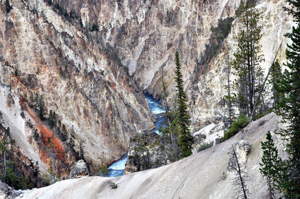 Grand Canyon of the Yellowstone