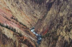 Grand Canyon of the Yellowstone