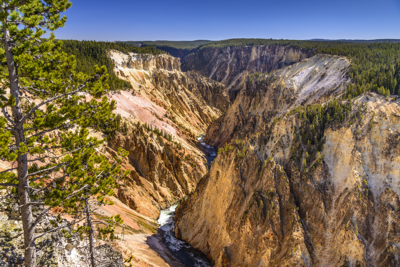 Grand Canyon of the Yellowstone, Grand View, Wyoming, USA