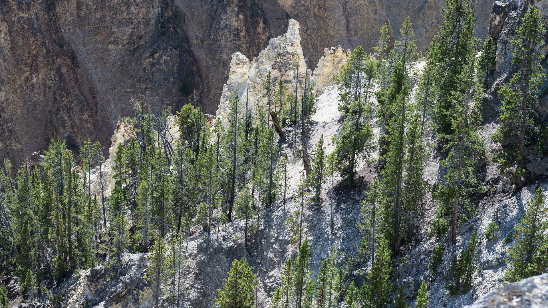 Grand Canyon of the Yellowstone II