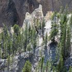 Grand Canyon of the Yellowstone II