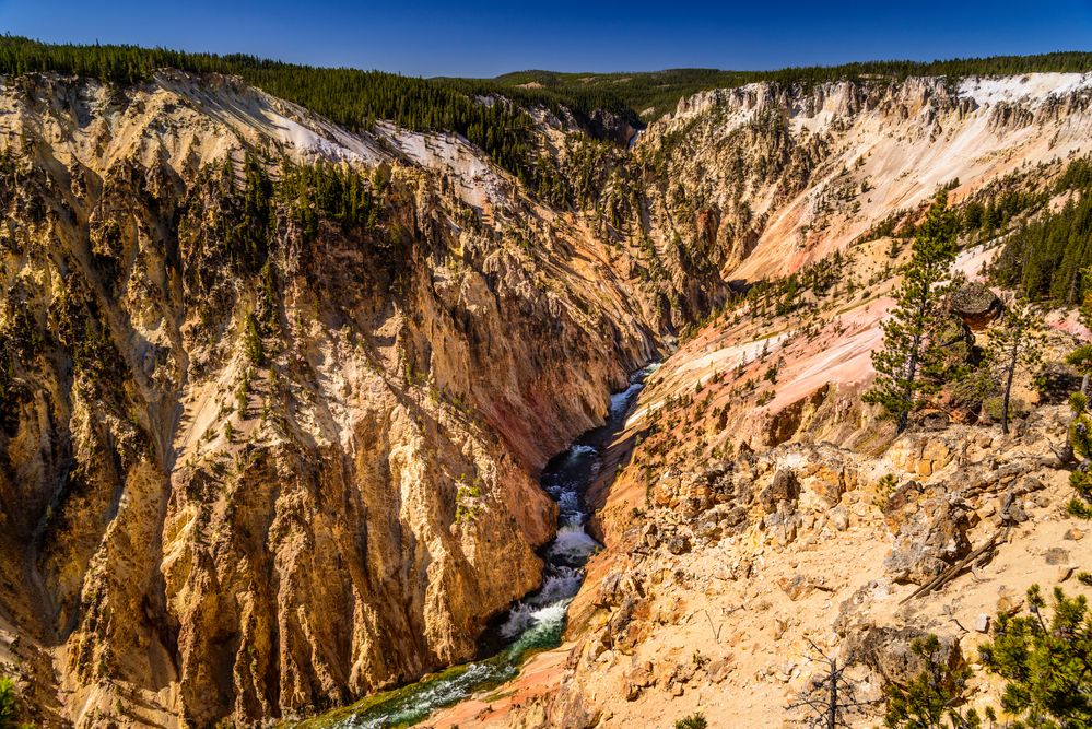  Grand Canyon of the Yellowstone, Inspiration Point, Wyoming, USA