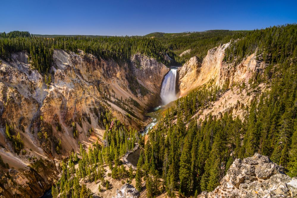 Grand Canyon of the Yellowstone, Lower Falls, Wyoming, USA