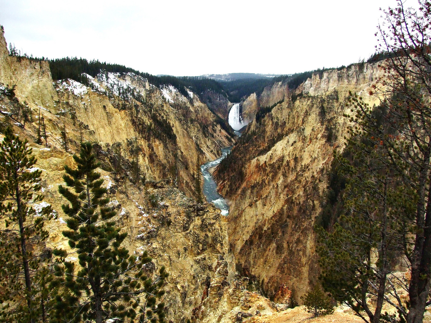 Grand Canyon of the Yellowstone with Lower Falls